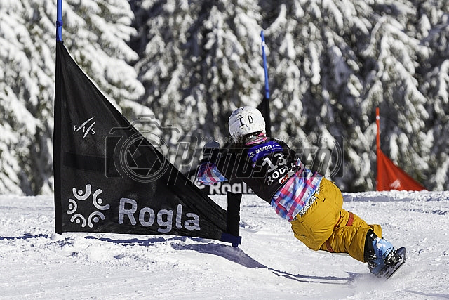 FIS Svetovni pokal v snowboarding, Rogla 31.1.2015